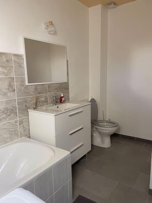 Maison Mitoyenne Avec Cour + Parking Sainte-Savine Εξωτερικό φωτογραφία
